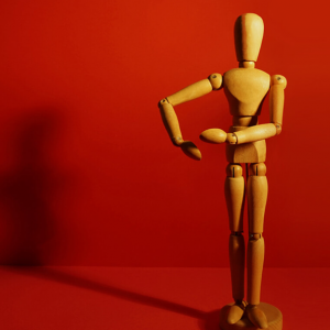 ShutterCraft Photography