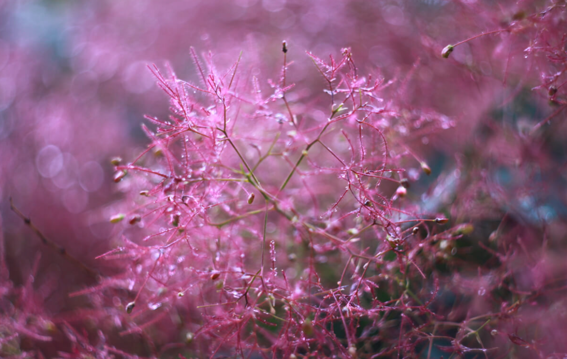 TrueFrame Studios - Image 4