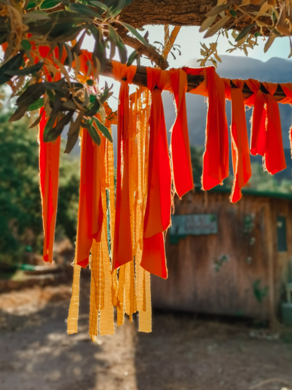 TrueFrame Studios - Image 6